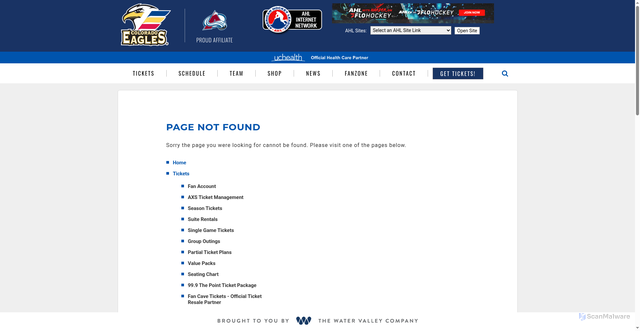 Security scan screenshot of https://www.coloradoeagles.com/players/detail/makar