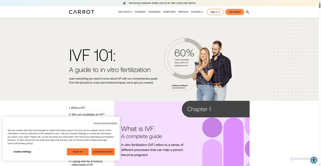 Security scan screenshot of https://www.get-carrot.com/101/ivf
