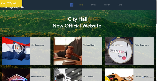 Security scan screenshot of https://www.reedsspringmo.gov/