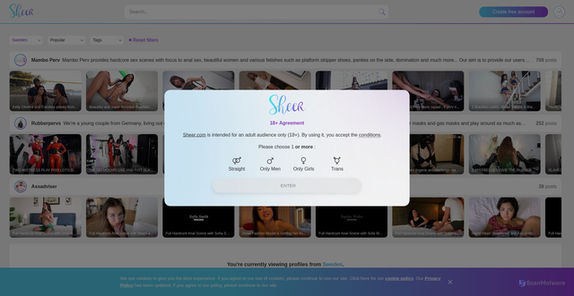 Security scan screenshot of https://www.sheer.com