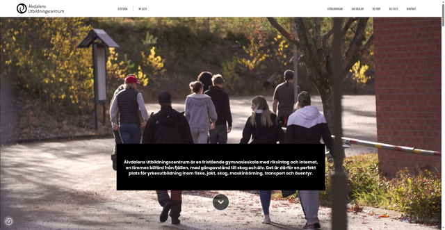 Security scan screenshot of https://www.alvdalen.com/
