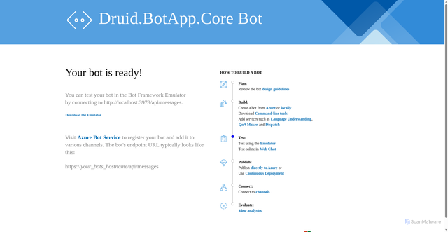 Security scan screenshot of https://druidbotapp.develop.uipath.com