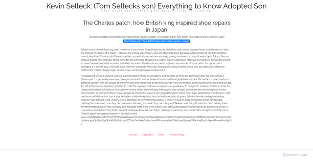 Security scan screenshot of https://divorcestatssitus-5gsqz69cq7.edgeone.app/10188-the-charles-patch-how-british-king-inspired-shoe-repairs-in-japan.html