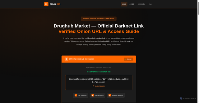 Security scan screenshot of whm.drug-hub-market.com