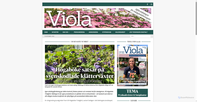 Security scan screenshot of https://viola.se