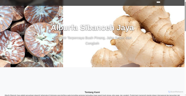 Security scan screenshot of https://tragic-red-viqspq4ks6-tn0pv8t764.edgeone.app/