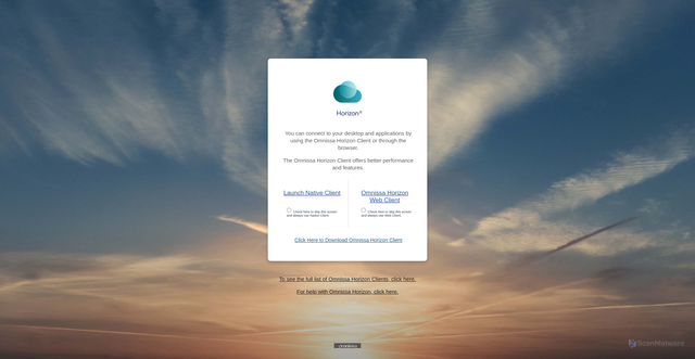 Security scan screenshot of https://vdi.loves.com