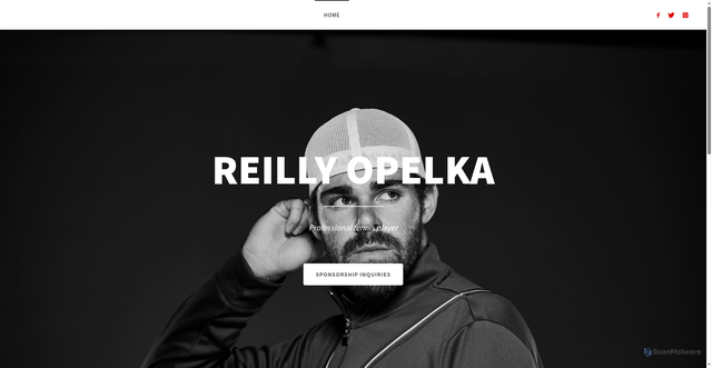 Security scan screenshot of https://reillyopelka.com/