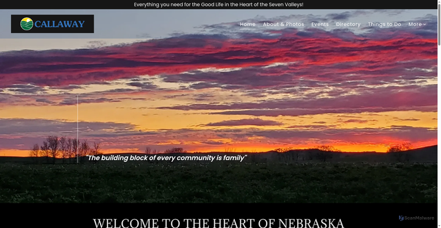 Security scan screenshot of https://villageofcallawayne.gov/