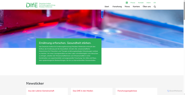 Security scan screenshot of https://www.dife.de/