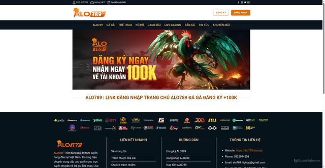 Security scan screenshot of https://alo789.hiphop/