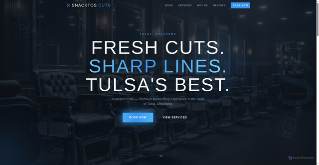 Security scan screenshot of http://websonsite.com/