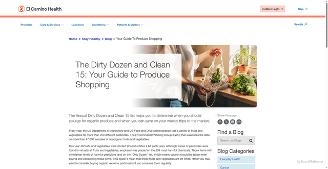 Security scan screenshot of https://www.elcaminohealth.org/stay-healthy/blog/your-guide-to-produce-shopping