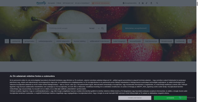 Security scan screenshot of https://www.nosalty.hu
