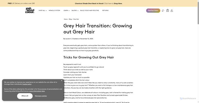 Security scan screenshot of https://joshwoodcolour.com/blogs/community/how-to-grow-out-your-grey-hair