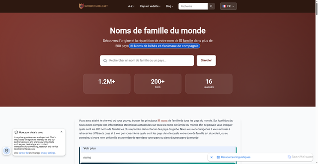 Security scan screenshot of https://nomsdefamille.net