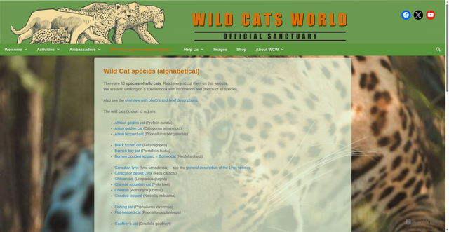 Security scan screenshot of https://www.wildcatsworld.org/wild-cat-species/