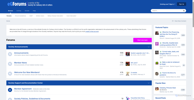 Security scan screenshot of https://forums.egullet.org