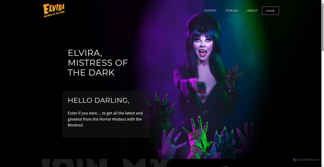 Security scan screenshot of https://www.elvira.com/