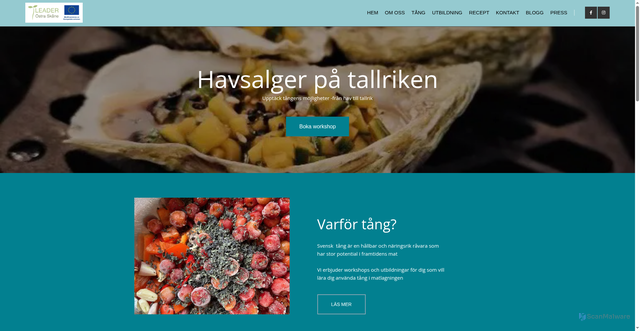 Security scan screenshot of https://havsalgerpatallriken.se