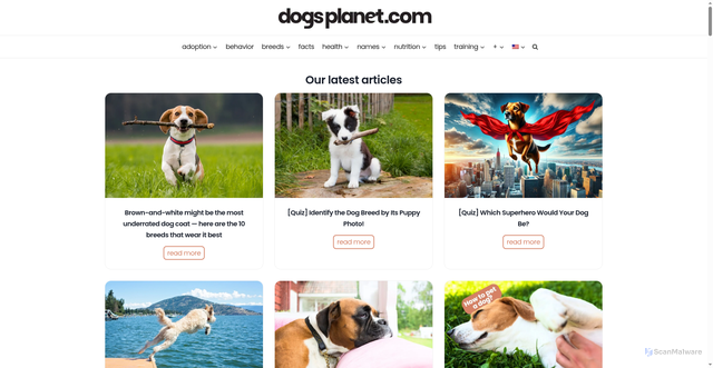 Security scan screenshot of https://www.dogsplanet.com/en/