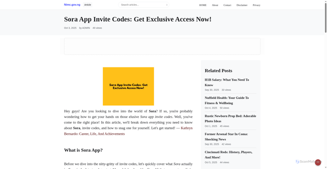 Security scan screenshot of https://slipserver1.nimc.gov.ng/blog/sora-app-invite-codes-get