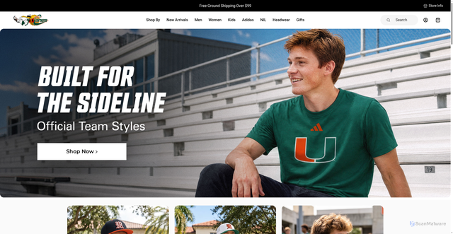 Security scan screenshot of https://allcanes.com/?srsltid=AYCX9vJ1-q-pQn_7X_kU9_LER8jrfG87pWeZSJ3N6fV4_3l338v6iyTw