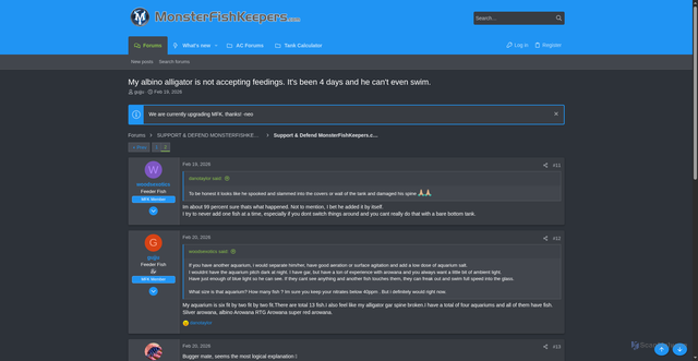 Security scan screenshot of https://monsterfishkeepers.com