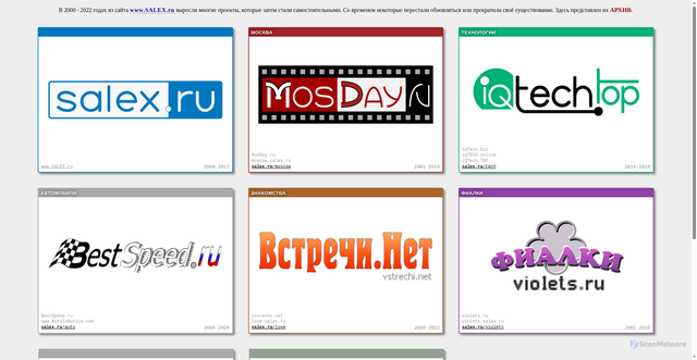 Security scan screenshot of https://salex.ru