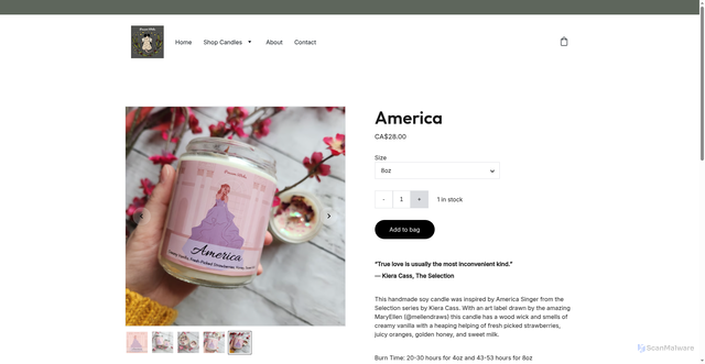 Security scan screenshot of https://possumwicks.com/america