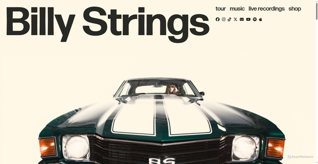 Security scan screenshot of https://www.billystrings.com/