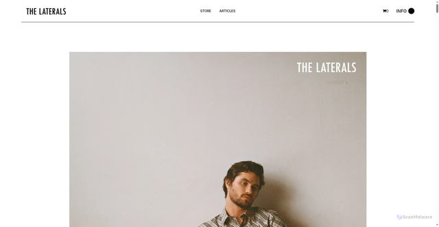Security scan screenshot of https://thelaterals.com/articles/becoming-chase-stokes/