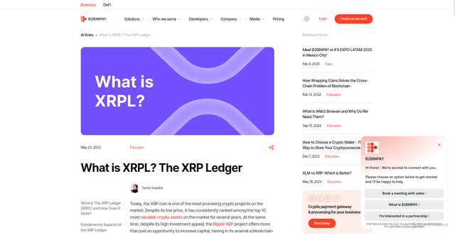 Security scan screenshot of https://b2binpay.com/en/news/what-is-xrpl-the-xrp-ledger
