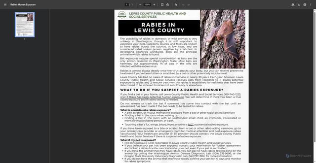Security scan screenshot of https://lewiscountywa.gov/media/documents/Rabies_Human_Exposure_-_English_WNJMZI1.pdf