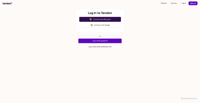 Security scan screenshot of https://partner.withtandem.com