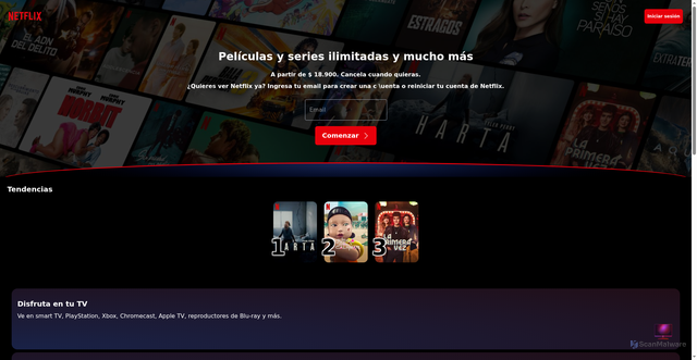 Security scan screenshot of http://www.netflix-cop.vercel.app/