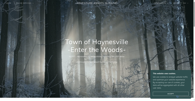 Security scan screenshot of https://haynesvilleme.gov/