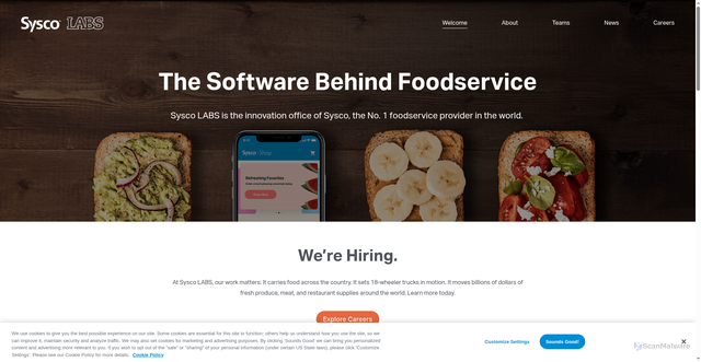 Security scan screenshot of https://www.syscolabs.com/