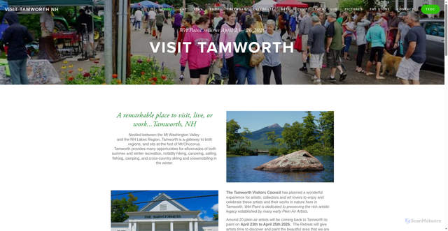 Security scan screenshot of https://www.tamworthusa.com/