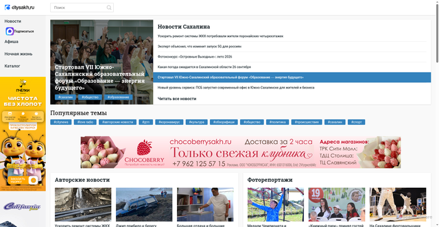 Security scan screenshot of https://citysakh.ru