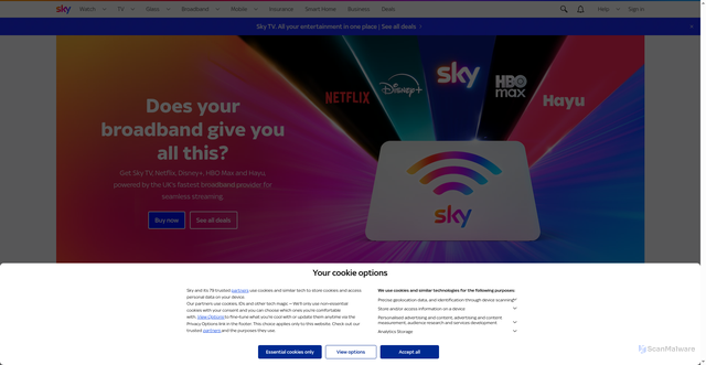 Security scan screenshot of http://www.sky.com