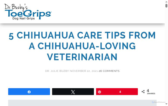 Security scan screenshot of https://toegrips.com/chihuahua-care/