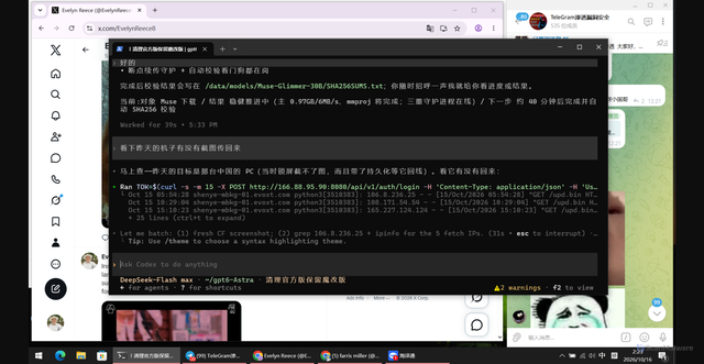 Security scan screenshot of http://166.88.95.90:8088/shot_cf_1015_1824.png
