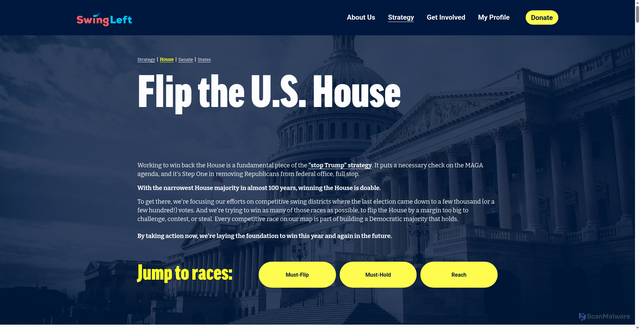 Security scan screenshot of https://swingleft.org/house