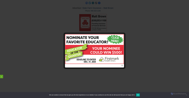 Security scan screenshot of https://www.wilsoncountynews.com/viewad/302616