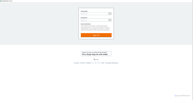 Security scan screenshot of https://transfer.capbluecross.com
