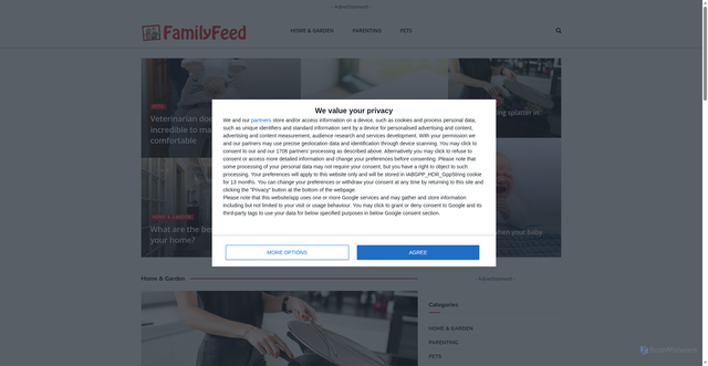 Security scan screenshot of https://family-feed.net