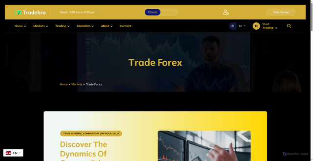 Security scan screenshot of https://gptmetastocks.com/trade-commodities