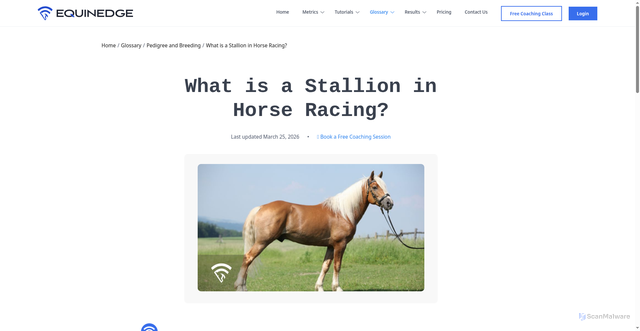 Security scan screenshot of https://equinedge.com/glossary/pedigree-and-breeding/stallion
