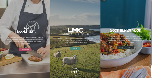 Security scan screenshot of https://www.lmcni.com/